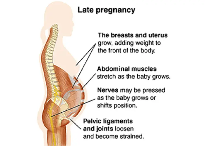 pregnant-late