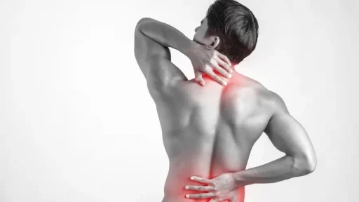 Discover Chiropractic Treatment For Back Pain Discover Chiropractic Treatment For Back Pain