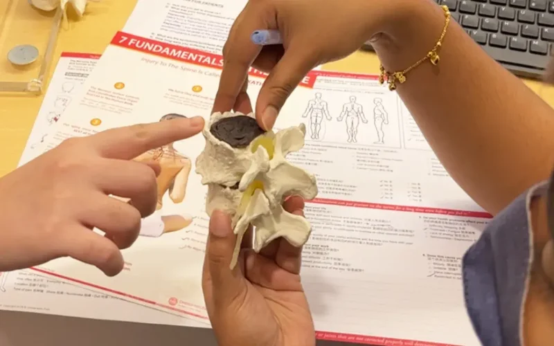 Health History Investigation